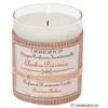 Image de Bougie parfumée ambre précieux