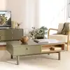 Image de Ethan - table basse 2 tiroirs et 2 niches en bois naturel vert