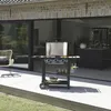 Image de Barbecue gaz flavo 60 sc sur chariot