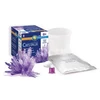Image de Cristal sentosphere violet