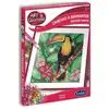Image de Canevas a diamanter toucan