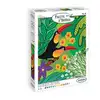Image de Palette d'artiste - les toucans