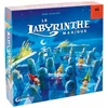 Image de Labyrinthe magique