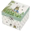 Image de Coffret musical peter rabbit libellule