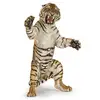 Image de Tigre debout