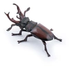 Image de Figurine lucane