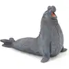 Image de Eléphant de mer