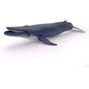 Image de Baleine bleue
