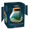 Image de Kit fimo terrarium led graine creative