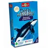 Image de Defis nature animaux marins