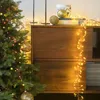 Image de Guirlande micro led grappe 5m blanc chaud