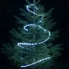 Image de Cordon lumineux solaire led 5m blanc pur