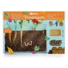 Image de Vivarium découverte racines et lombrics