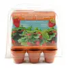 Image de Mini-serre 6 pots fraisier