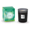 Image de Bougie parfumée initiale eau d'amazonie