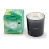 Image de Bougie parfumée 450g eau d'amazonie