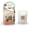 Image de Bougie take-away cèdre sauvage 180g