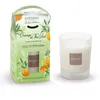 Image de Bougie take-away orange et thé vert 180g