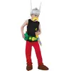 Image de Déguisement astérix 128 cm