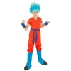Image de Déguisement goku super saiyan dragon ba