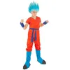 Image de Déguisement goku super saiyan dragon ba