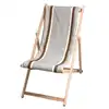 Image de Chilienne aurice gris