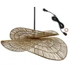 Image de Suspension solara outdoor cable