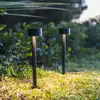 Image de Lot de 2 balises solaires à piquer noir forty