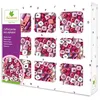 Image de Coffret perles en bois alphabet