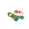 Image de Tortue zigolo à promener