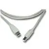 Image de MCL Cable USB 2.0 pouces Type A/B Male 2.0m