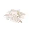 Image de Doudou doudou et compagnie blanc
