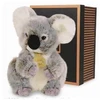 Image de Histoire dours koala authentique 20cm