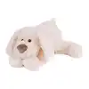 Image de Peluche chien cookie 40 cm