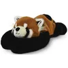 Image de Podcolle - le panda roux allongé