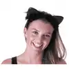 Image de Serre tete oreilles de chat