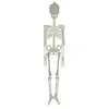 Image de Squelette phosphorescent 1m50