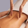 Image de Gel massage & lubrifiant - algue