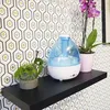 Image de Humidificateur ultrasonique claise