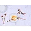 Image de Coffret 6 petites cuillères - copper