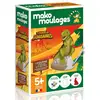 Image de Mako creations moulages tyranosaure -