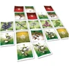 Image de Jeu pollen