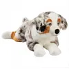 Image de 1673 anima beige