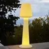 Image de Lampadaire sans fil blanc austral