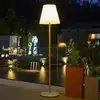 Image de Lampadaire solaire standy wood solar