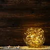 Image de Guirlande lumineuse skinny solar 400