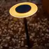 Image de Lot de 2 balises solaires à piquer noir ufo