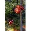 Image de Décoration solaire - coccinelle