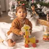 Image de Coffret de 3 jouets d'éveil en bois mult