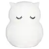 Image de Grande veilleuse hibou